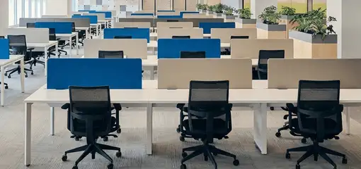 Modern open-plan office space featuring clean workstations, ergonomic chairs, and sanitized carpets provided by professional office cleaning services in Bellevue, WA.
