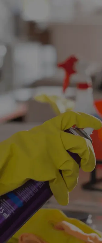 Reliable Residential & Commercial Cleaning in Bellevue, WA