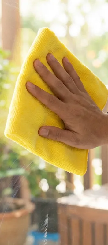 Expert Window Cleaning in Bellevue, WA